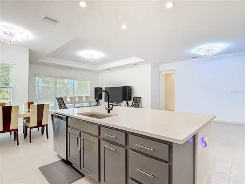 32676 Tree Of Life Avenue, Wesley Chapel FL - photo 16 of 47