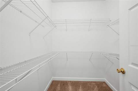 18525 Bridle Club Drive #18525, Tampa FL - photo 23 of 38