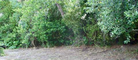 3620 N 56th Street, Tampa FL - photo 7 of 7