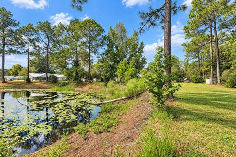 14641 NE 154th Street, Fort Mc Coy FL - photo 6 of 6