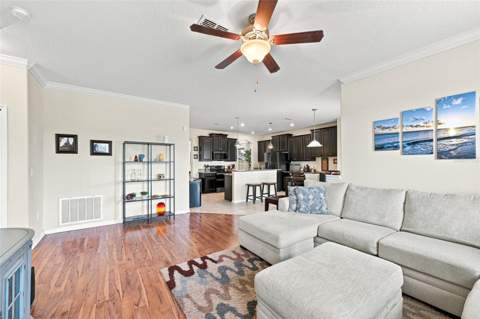 12335 Ballentrae Forest Drive, Riverview FL - photo 11 of 64