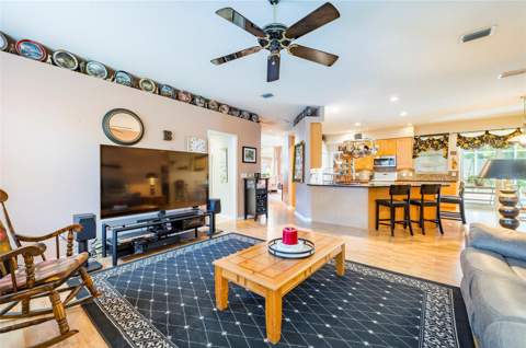 22754 Magnolia Trace Boulevard, Lutz FL - photo 19 of 56