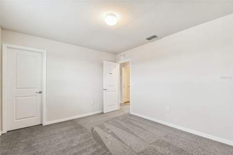 13718 Evergreen Valley Drive, Riverview FL - photo 19 of 37