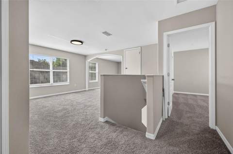 10629 Shady Preserve Drive, Riverview FL - photo 20 of 33