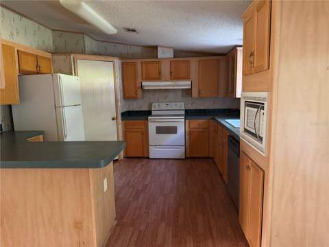 17131 NW 83rd Court, Fanning Springs FL - photo 6 of 6