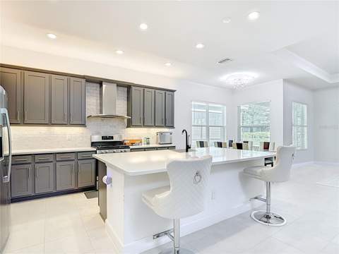 32676 Tree Of Life Avenue, Wesley Chapel FL - photo 14 of 47
