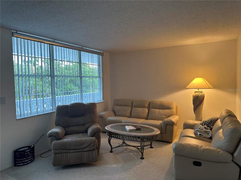 1 bedroom Condominium at 4720 Locust Street #314, Winston Park Northeast, St Petersburg — photo 4