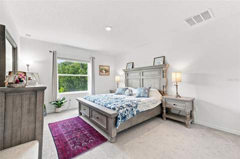 32898 Pez Landing Lane, Wesley Chapel FL - photo 21 of 35