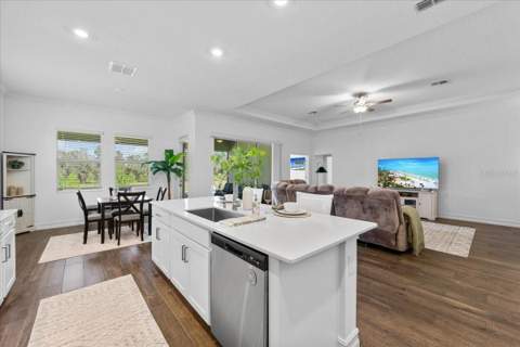 12421 Bergstrom Bay Drive, Riverview FL - photo 22 of 90