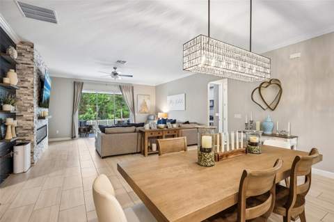 17022 Forge Surf Street, Land O Lakes FL - photo 17 of 62