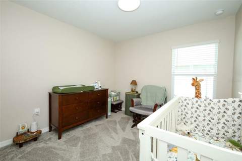 5325 Red Coral Circle, Mount Dora FL - photo 21 of 47