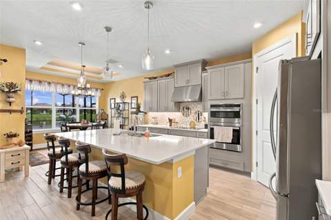 433 Via Abruzzi Street, Kissimmee FL - photo 14 of 62