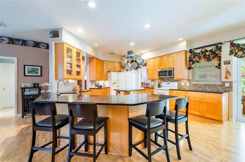 22754 Magnolia Trace Boulevard, Lutz FL - photo 22 of 56