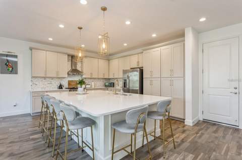 3281 Great Banyan Way, Wesley Chapel FL - photo 10 of 45