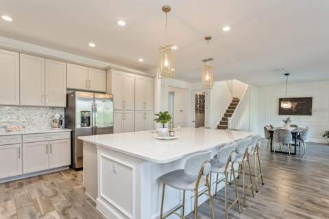 3281 Great Banyan Way, Wesley Chapel FL - photo 12 of 45