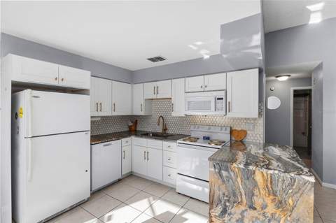 1825 E Eskimo Avenue, Tampa FL - photo 11 of 33
