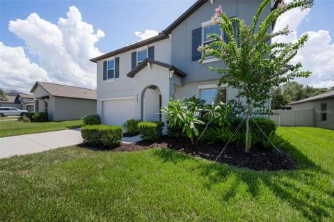 6780 Emerald Spring Loop, New Port Richey FL - photo 8 of 83