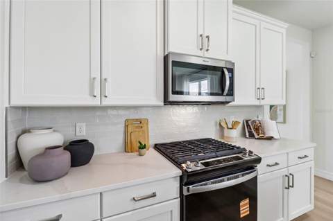 3945 Kennebunk Loop, Mount Dora FL - photo 13 of 25