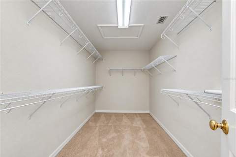 828 Lumsden Reserve Drive, Brandon FL - photo 17 of 30