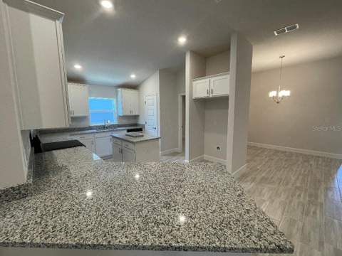 13374 Ogden Glade Road, Dade City FL - photo 7 of 29