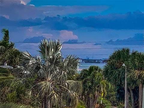 9 Haig Place #312, Dunedin FL - photo 8 of 67