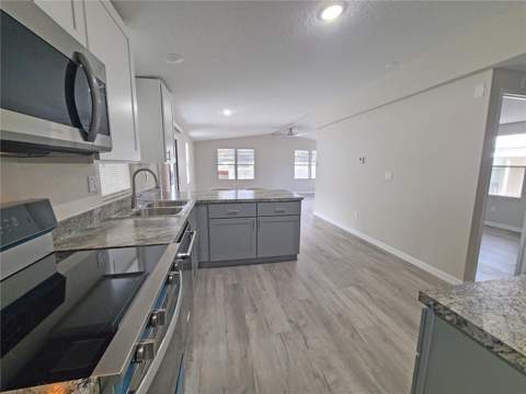 710 Coachman Drive, Leesburg FL - photo 11 of 22