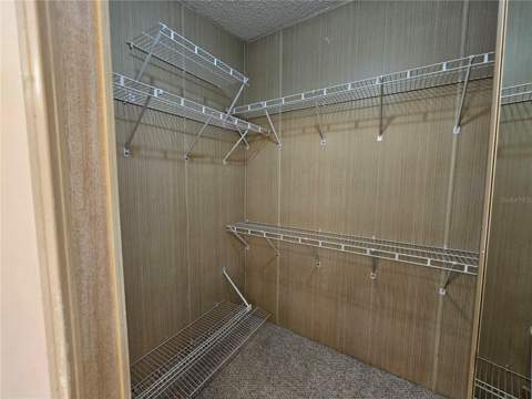 101 Dolphin Drive, Oldsmar FL - photo 23 of 34