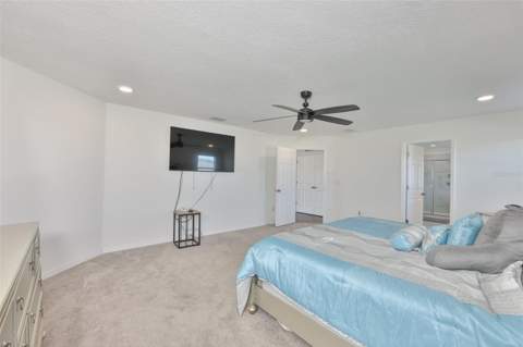 2927 Marine Grass Drive, Wimauma FL - photo 14 of 54