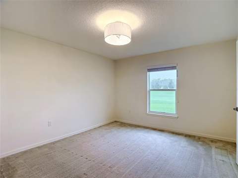 30541 Satinleaf Run, Brooksville FL - photo 21 of 54