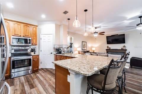539 Treviso Drive, Apollo Beach FL - photo 8 of 30