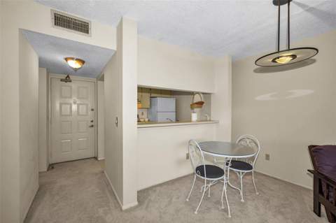 4411 Shady Terrace Lane #115, Tampa FL - photo 6 of 6