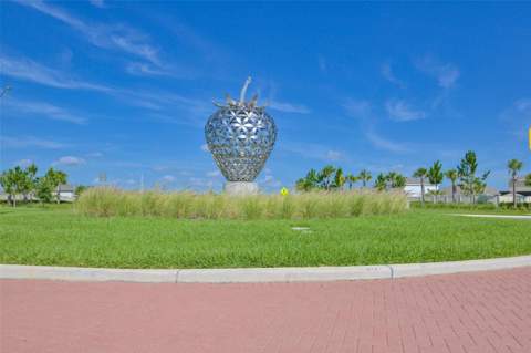 2927 Marine Grass Drive, Wimauma FL - photo 17 of 54
