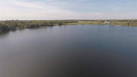 3412 Lake Diane Road, Tavares FL - photo 10 of 16