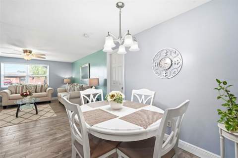 485 Flamingo Drive, Apollo Beach FL - photo 16 of 43