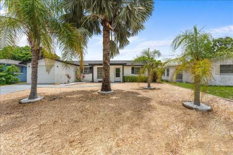 10914 Oakdale Avenue, Port Richey FL - photo 6 of 54