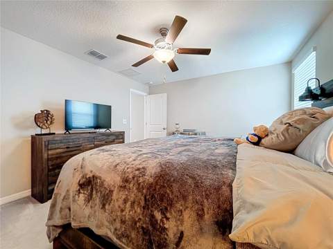 3141 Oyster Cove Street, Wimauma FL - photo 19 of 34