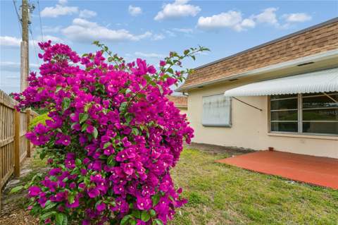 1611 S Lake Avenue #1, Clearwater FL - photo 24 of 29