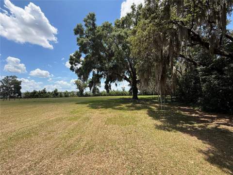 7119 SW 80th Avenue, Ocala FL - photo 6 of 6