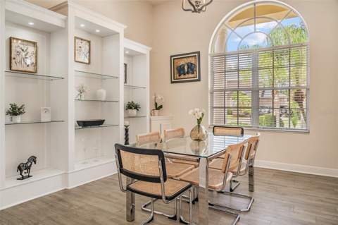 4561 Roanoak Way, Palm Harbor FL - photo 10 of 74
