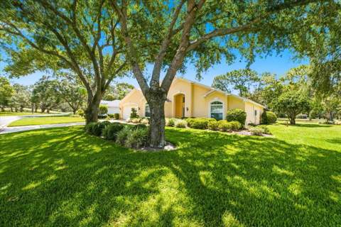 9720 Southern Belle Drive, Weeki Wachee FL - photo 13 of 66