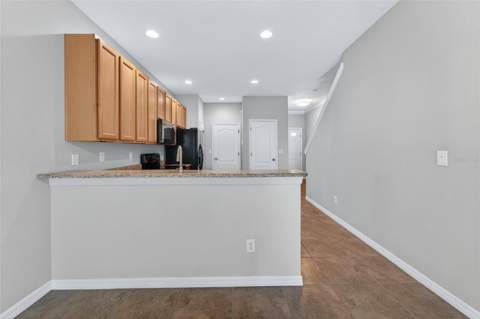 5028 White Sanderling Court, Tampa FL - photo 9 of 60