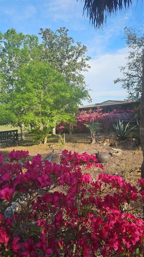 470 Fay Avenue, Spring Hill FL - photo 8 of 36