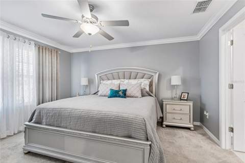 21851 Lyonia Lane, Land O Lakes FL - photo 18 of 50