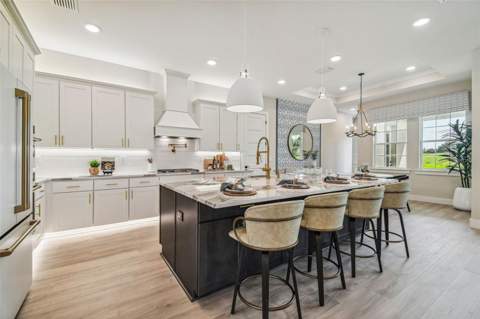 6406 Summit View Drive, Brooksville FL - photo 14 of 56