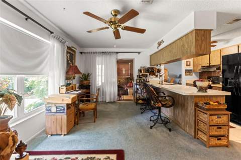 10541 Green Meadow Lane, Port Richey FL - photo 13 of 48