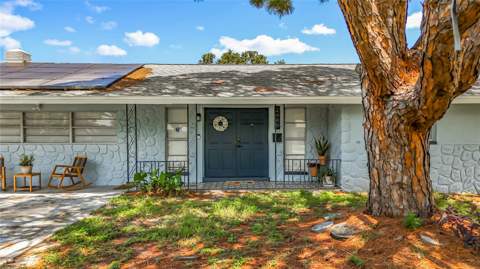 2449 66th Avenue, St Petersburg FL - photo 6 of 6