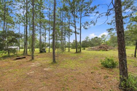 8279 Sunshine Grove Road, Brooksville FL - photo 19 of 76