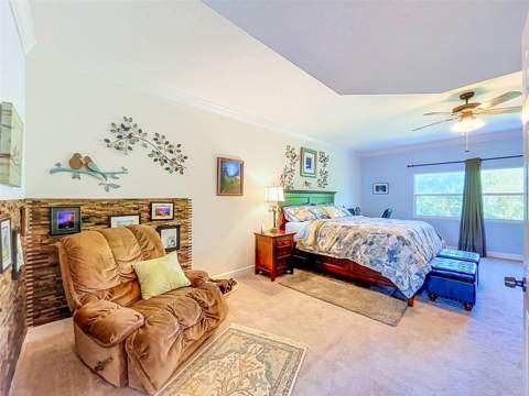 1722 Arabian Lane, Palm Harbor FL - photo 23 of 78
