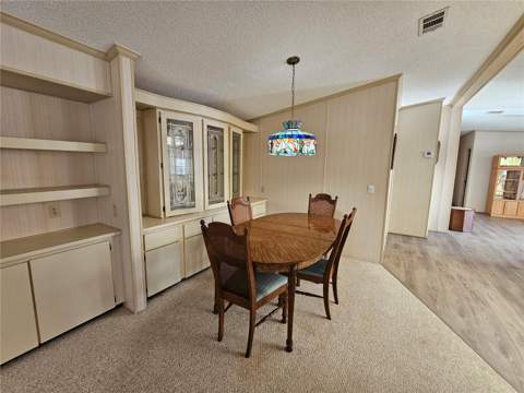 101 Dolphin Drive, Oldsmar FL - photo 13 of 34