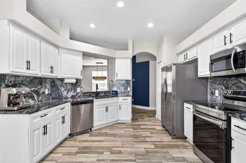 10024 Coldwater Loop, Land O Lakes FL - photo 6 of 38
